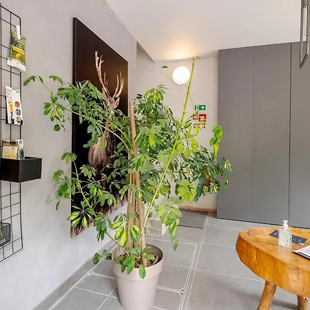 Quai De L'ourthe Floor1-2